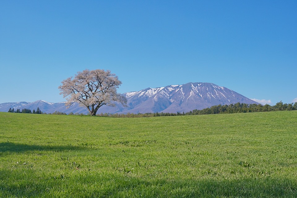 岩手山